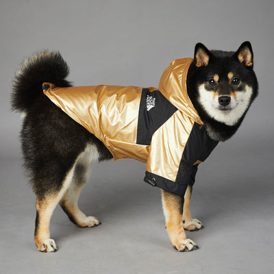 Large Waterproof Pet Jacket