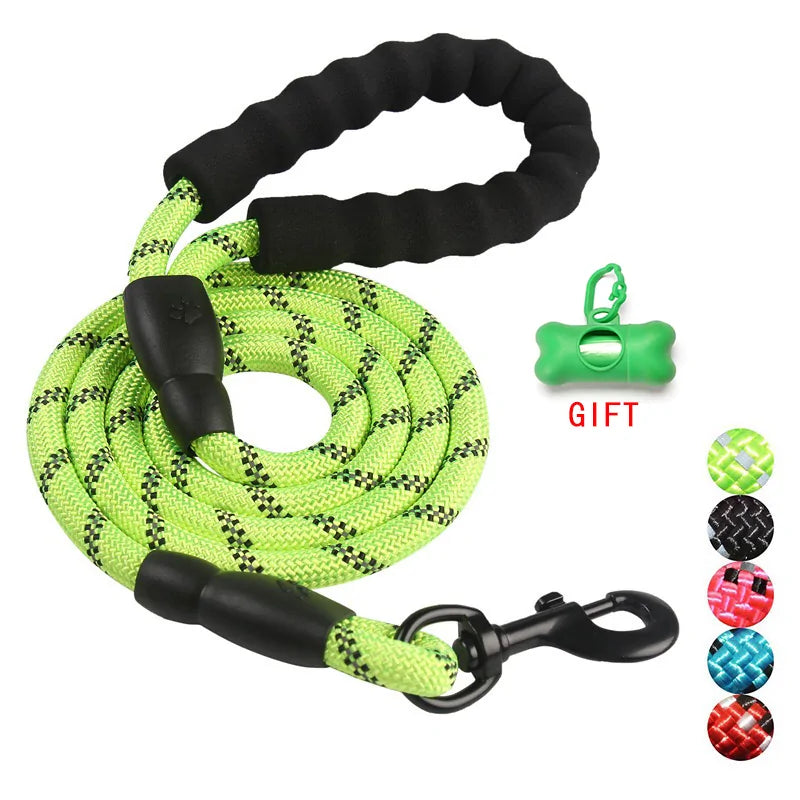 Walking/Training Dog Leash