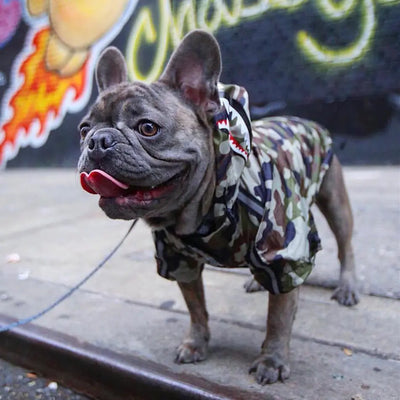 Dog Raincoat - Windproof and Waterproof Pet Jacket