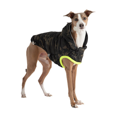 Dog Parka - Camouflage