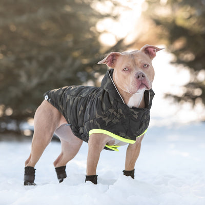 Dog Parka - Camouflage