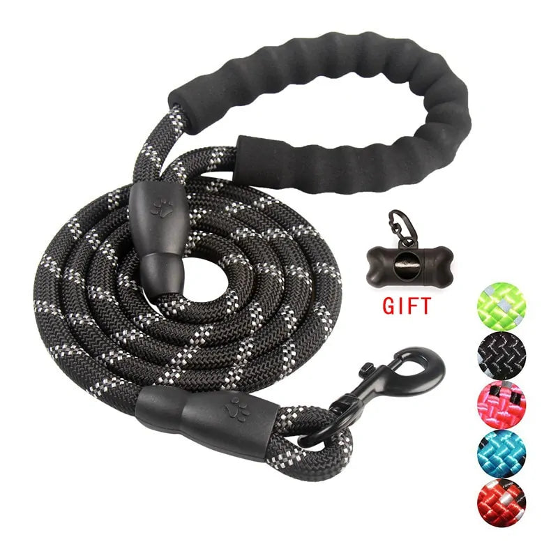 Walking/Training Dog Leash