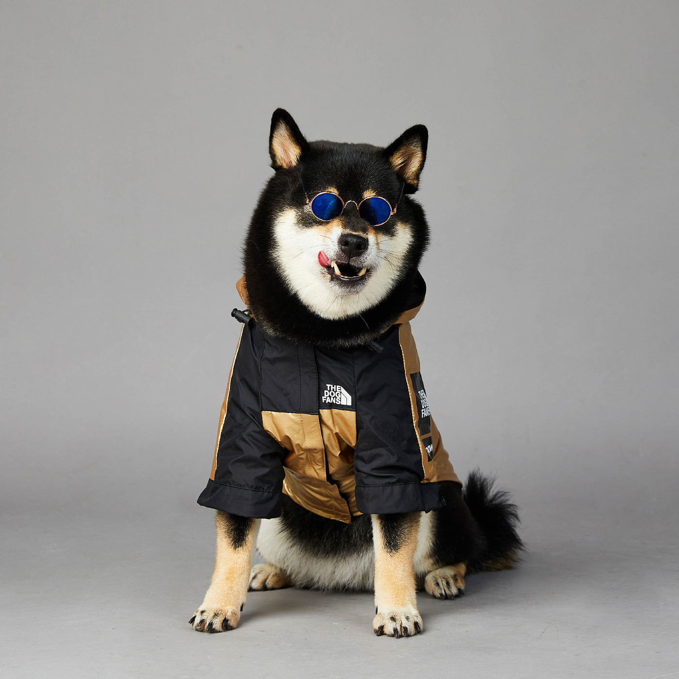 Large Waterproof Pet Jacket