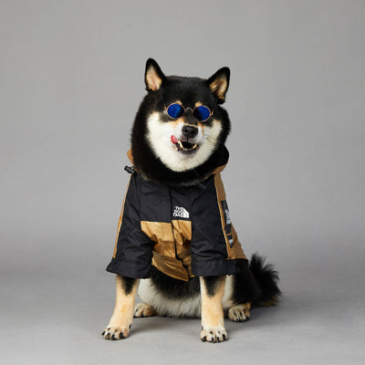 Large Waterproof Pet Jacket