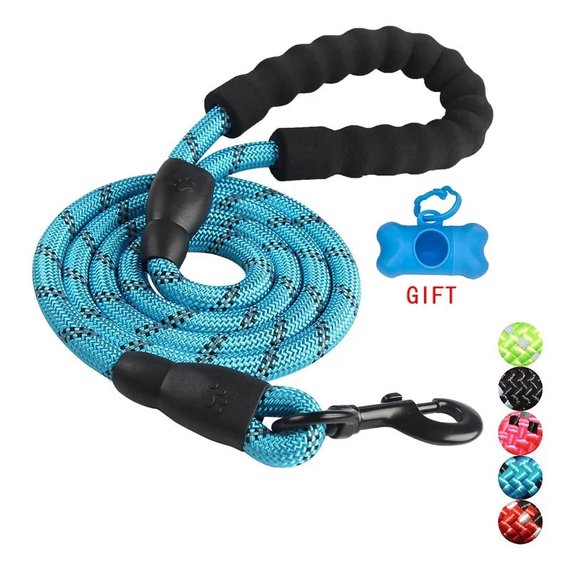 Walking/Training Dog Leash