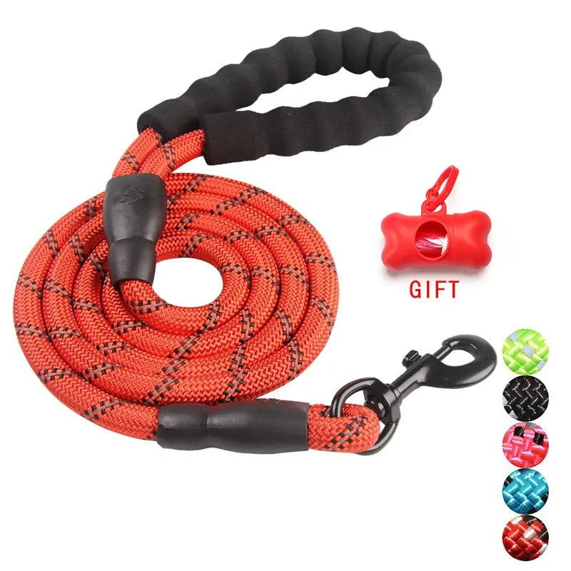 Walking/Training Dog Leash