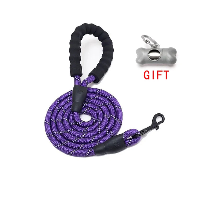 Walking/Training Dog Leash