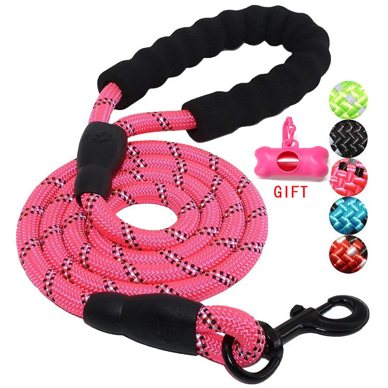 Walking/Training Dog Leash