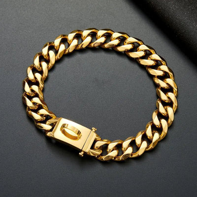 Dog Collar for Medium/Large Dogs